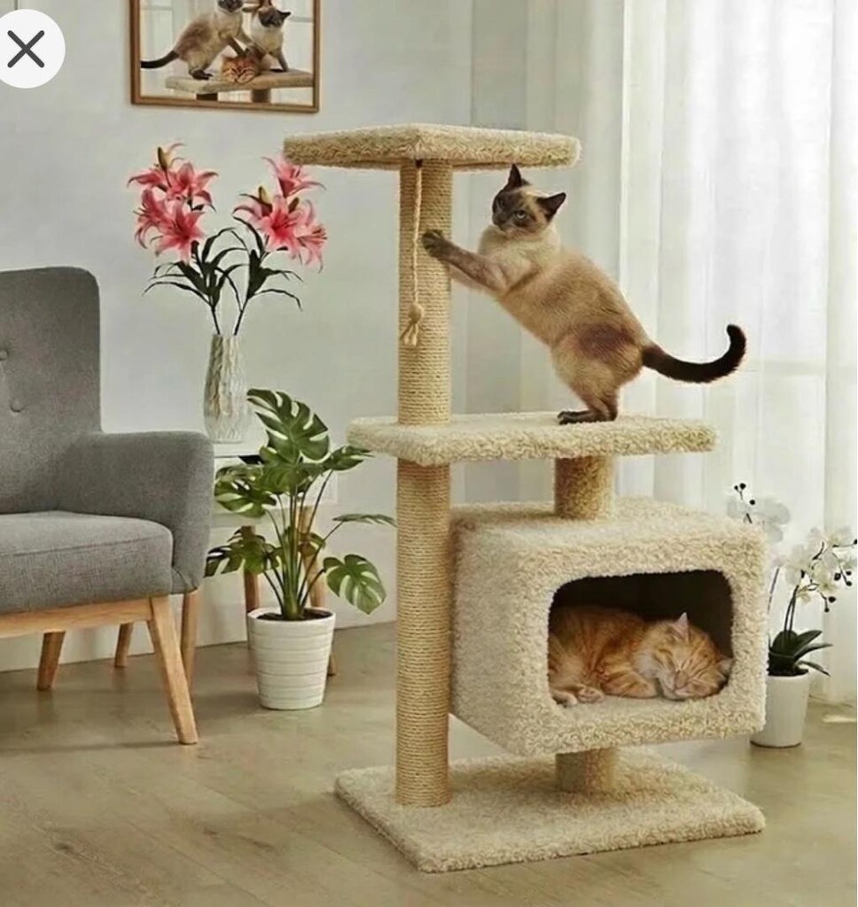 kedi tırmalama evi ve çeşitli malzemeler - 3