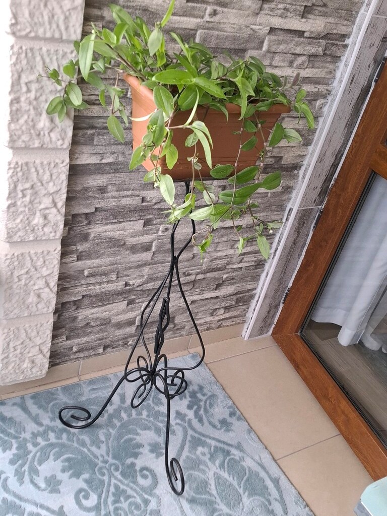 telgraf çiçeği ve çiçeklik 1050₺ - 12