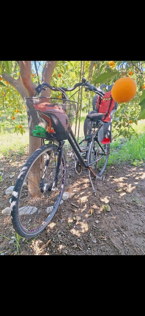 Carraro elite805 - 3