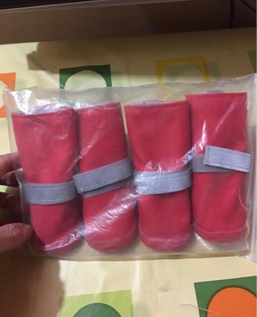 küçük ırk evcil hayvan ayakkabısı