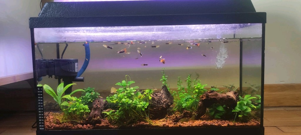 65x35x23 cm 52 Litre Akvaryum Tam Set - 2