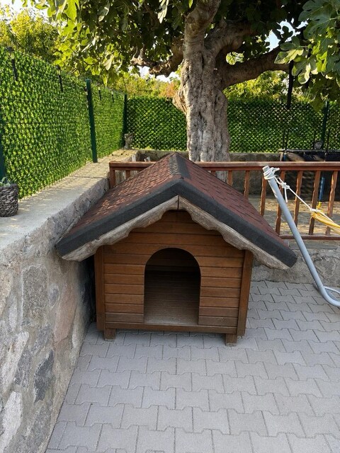 BÜYÜK KÖPEK KULÜBESİ