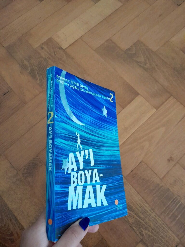 Ay'ı Boyamak kitabı - 2