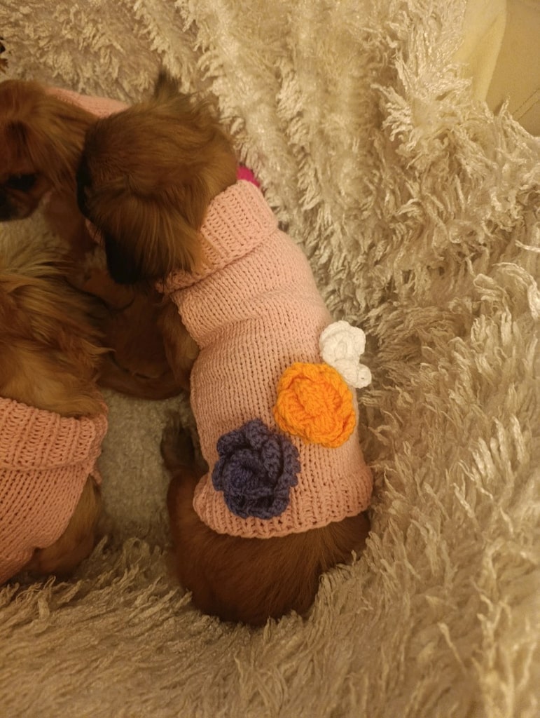köpek giyim - 4
