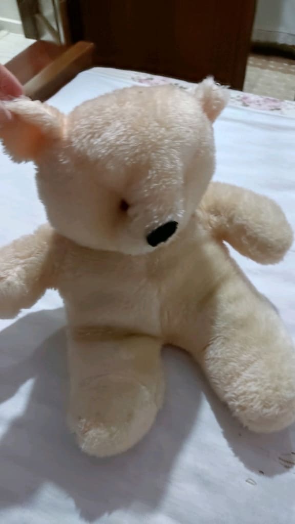 peluş ayicik - 5