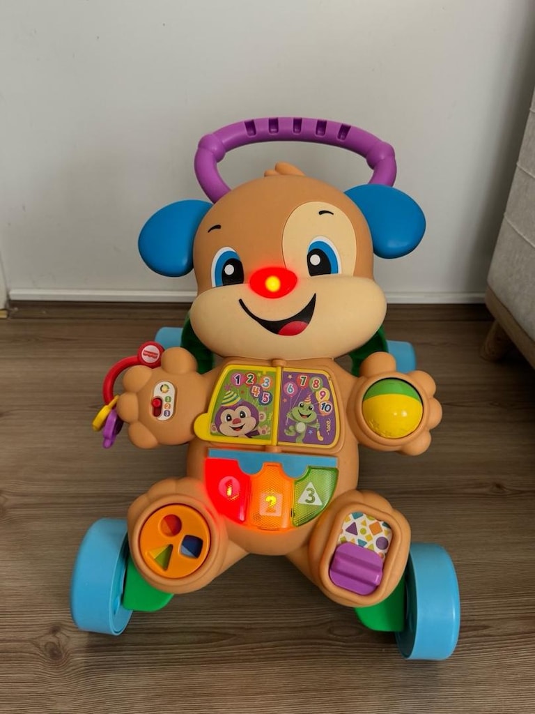 Fisher Price Yürüme Arkadaşı - 2