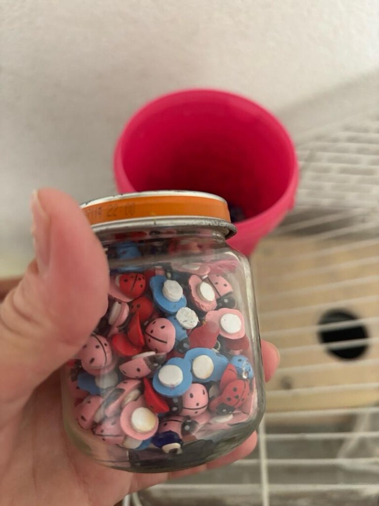 Magnetlik nazar boncuğu uğur böceği - 2