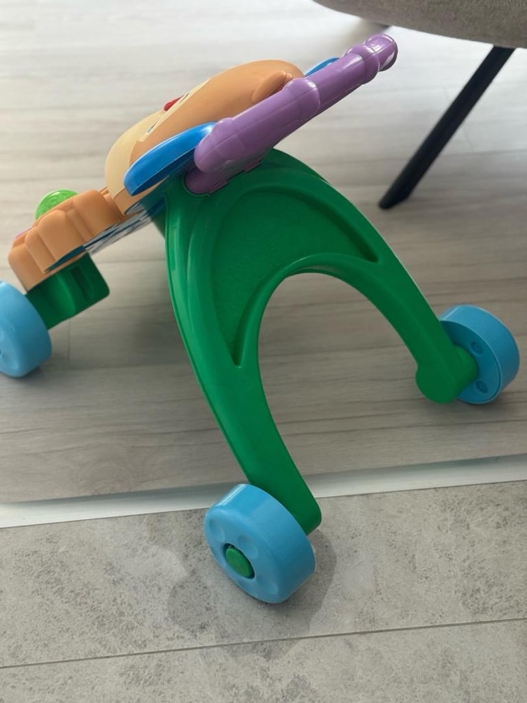Fisher Price Yürüme Arkadaşı Köpekçik - 3