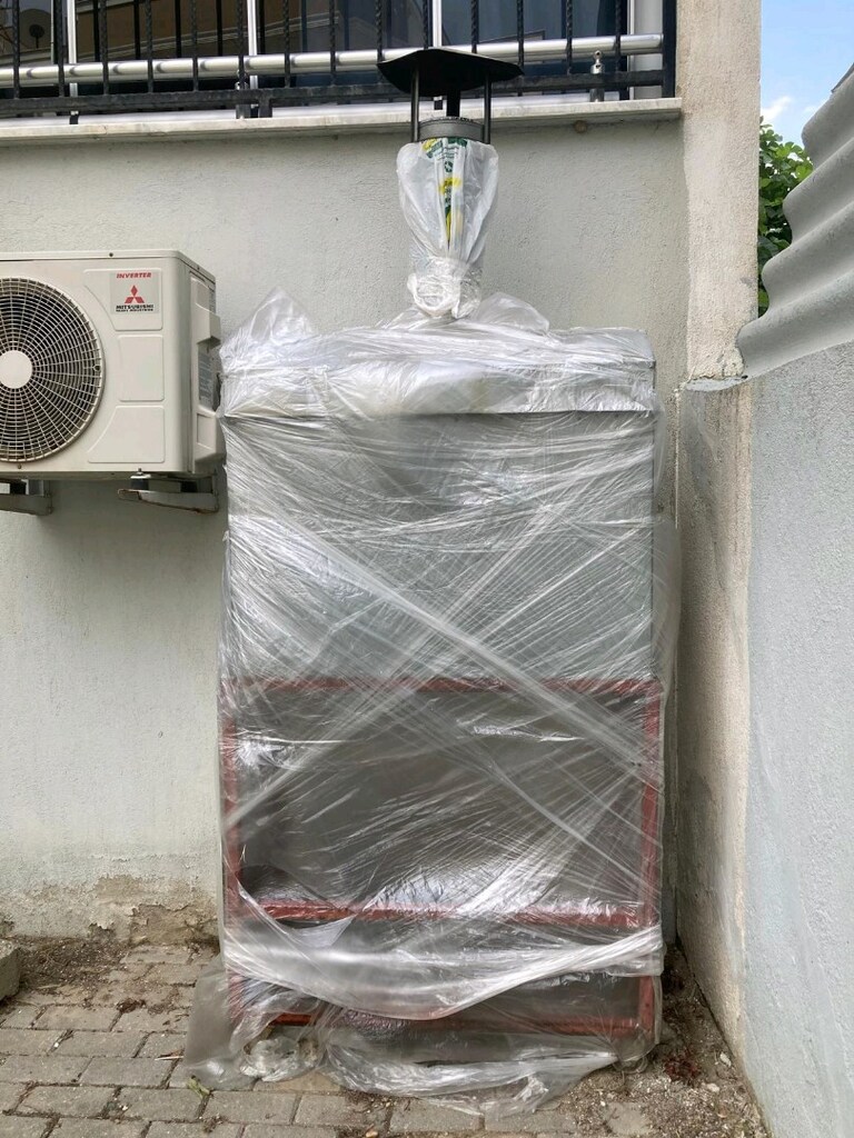 Mangal - 7