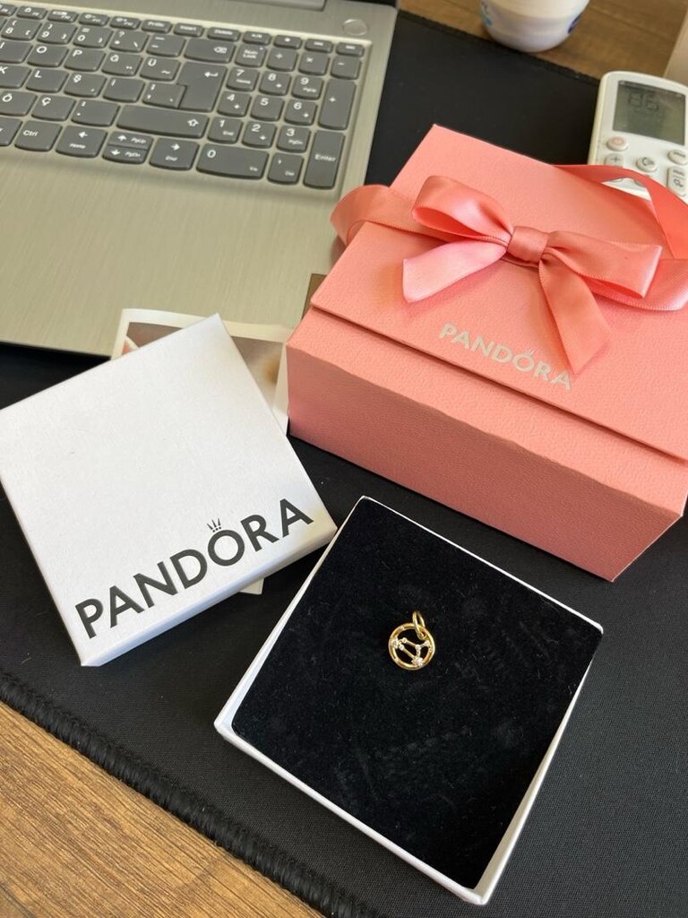 PANDORA GOLD ALTIN ÇARM ASLAN BURCU - 4