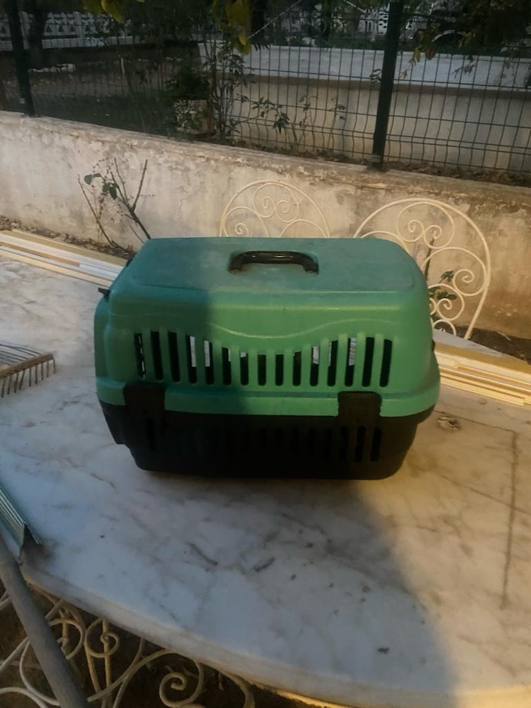 KEDİ BOX (KEDİ TAŞIMA KUTUSU) - 2
