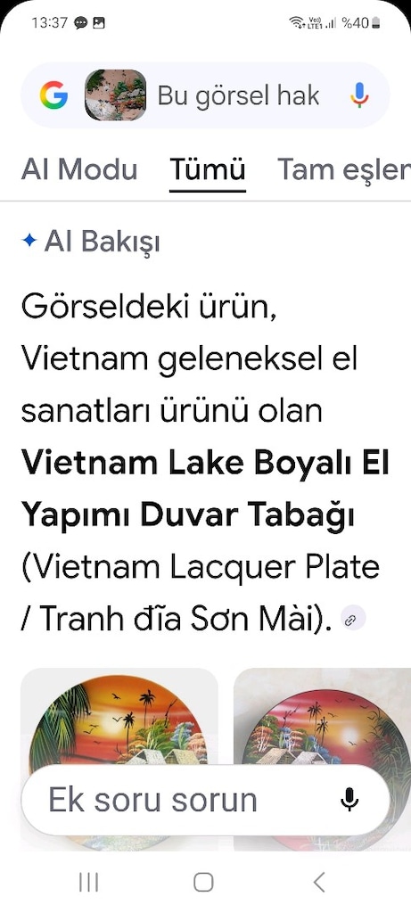 Vietnam ahşap koleksiyonluk duvar tabağı - 3