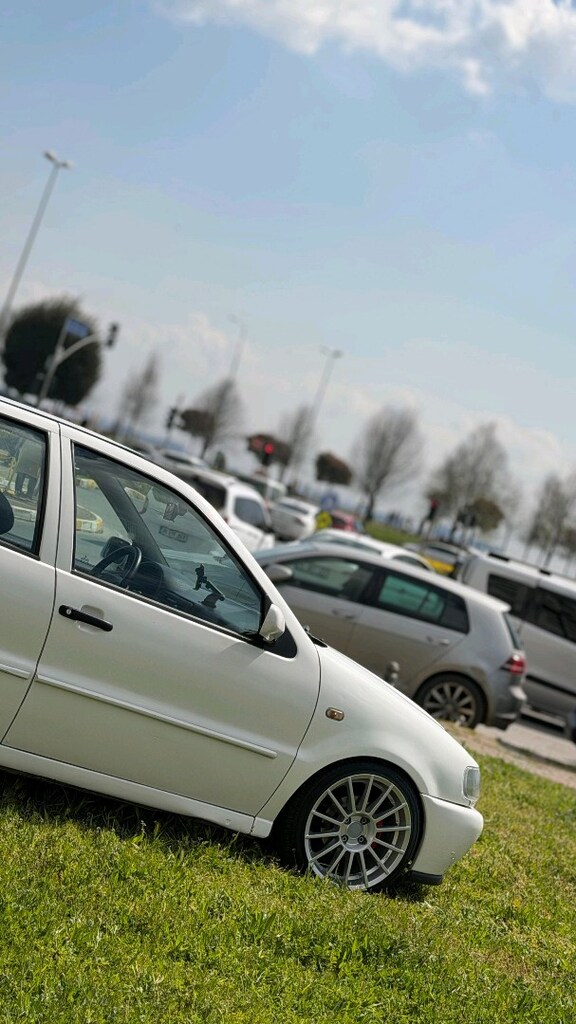 98 polo 6n kilimalı - 3