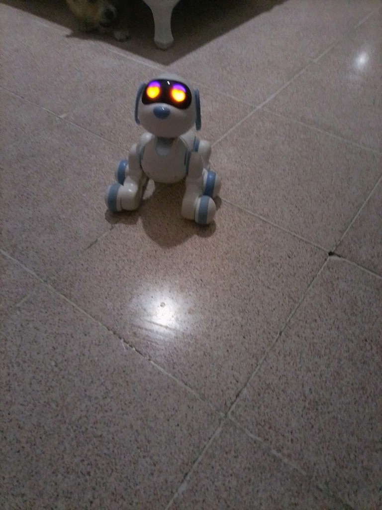 robot köpek - 4
