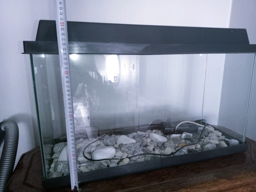 akvaryum - 3