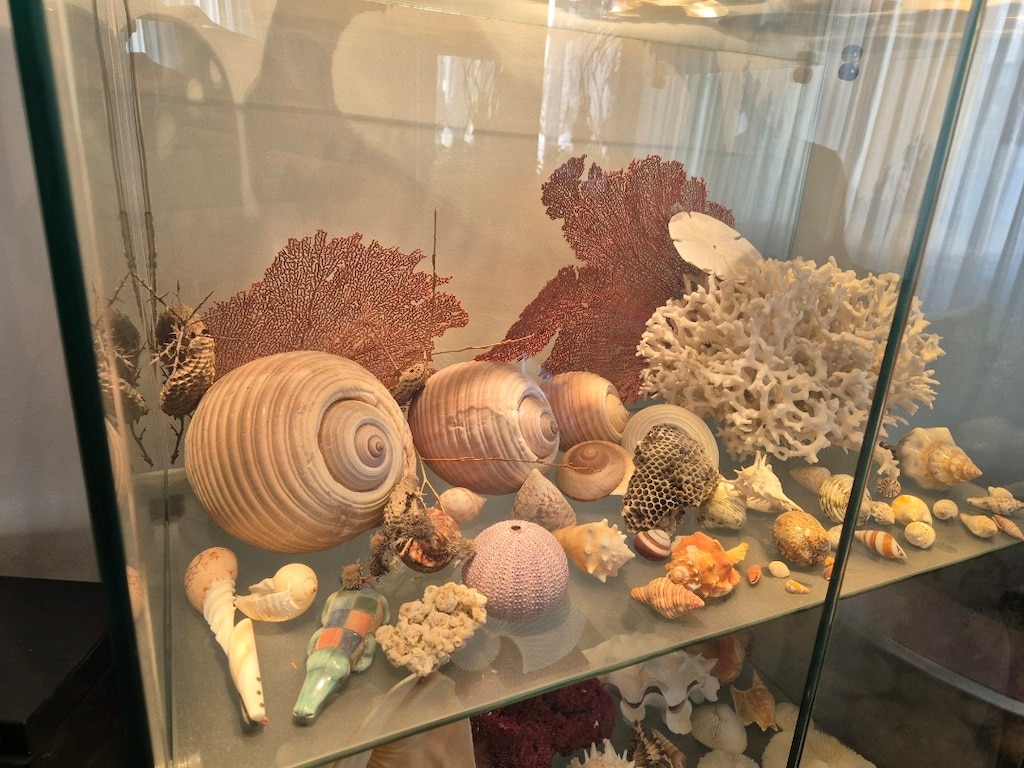 Koleksiyon deniz ürünleri vitrini - 5