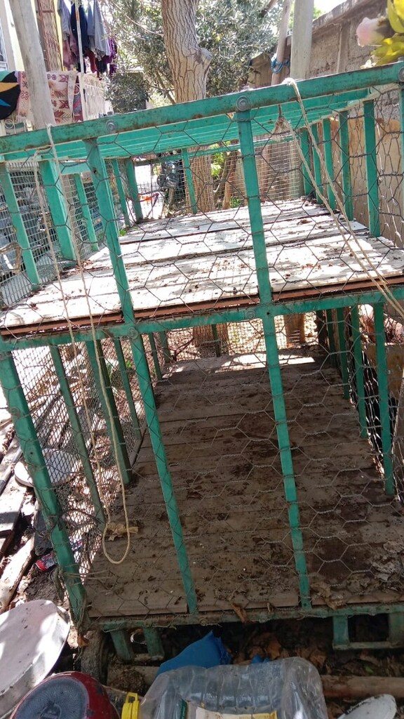 Tekerlekli Demir araba tavuk horoz - 5
