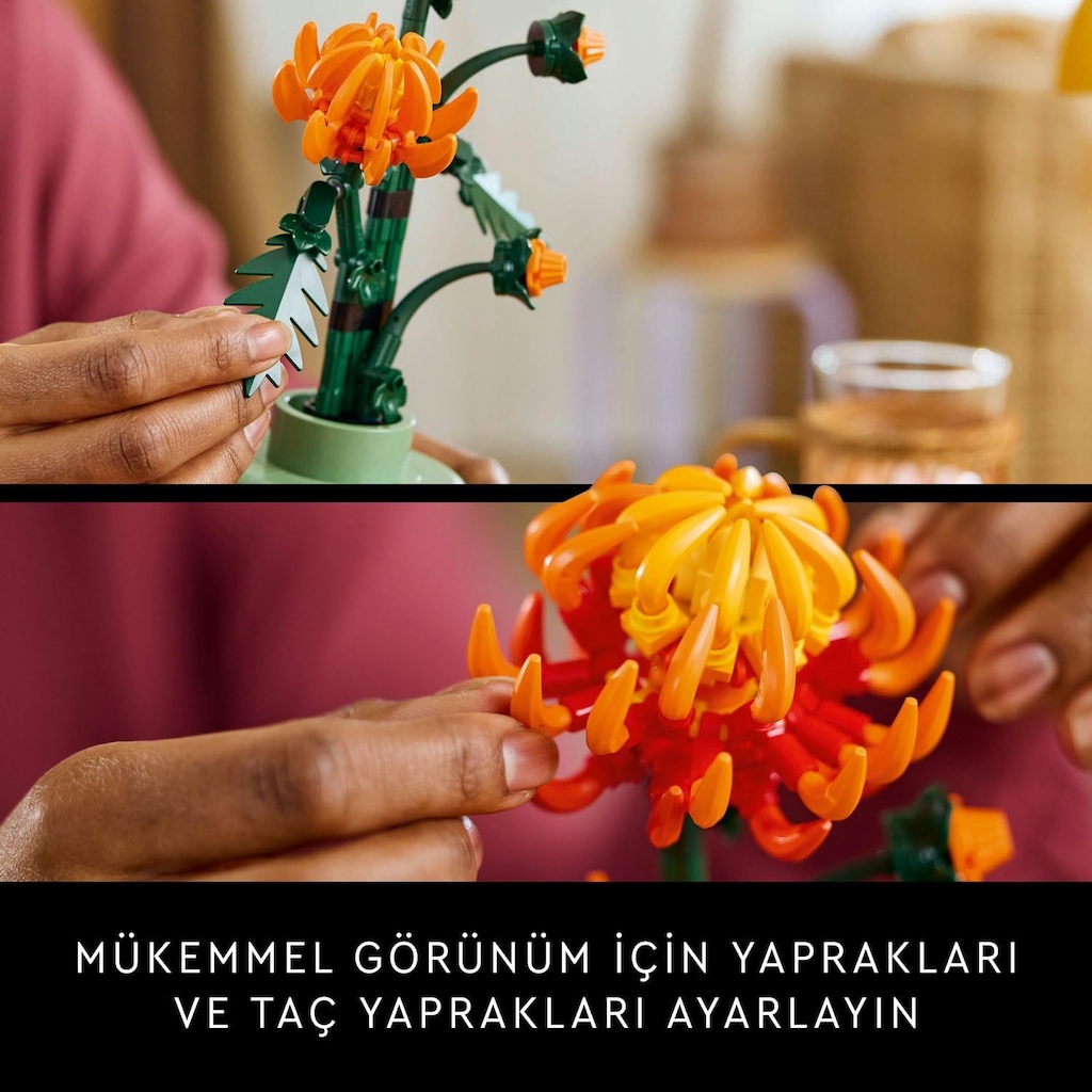 LEGO Botanicals Krizantem 10368 - 3