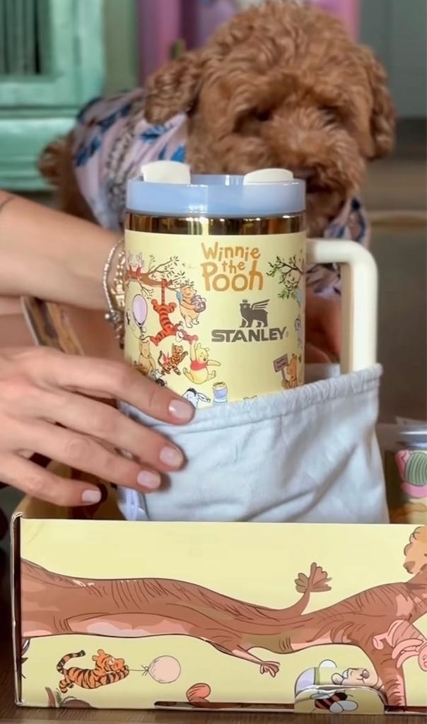 WİNNİE THE POOH STANLEY TERMOS - 3