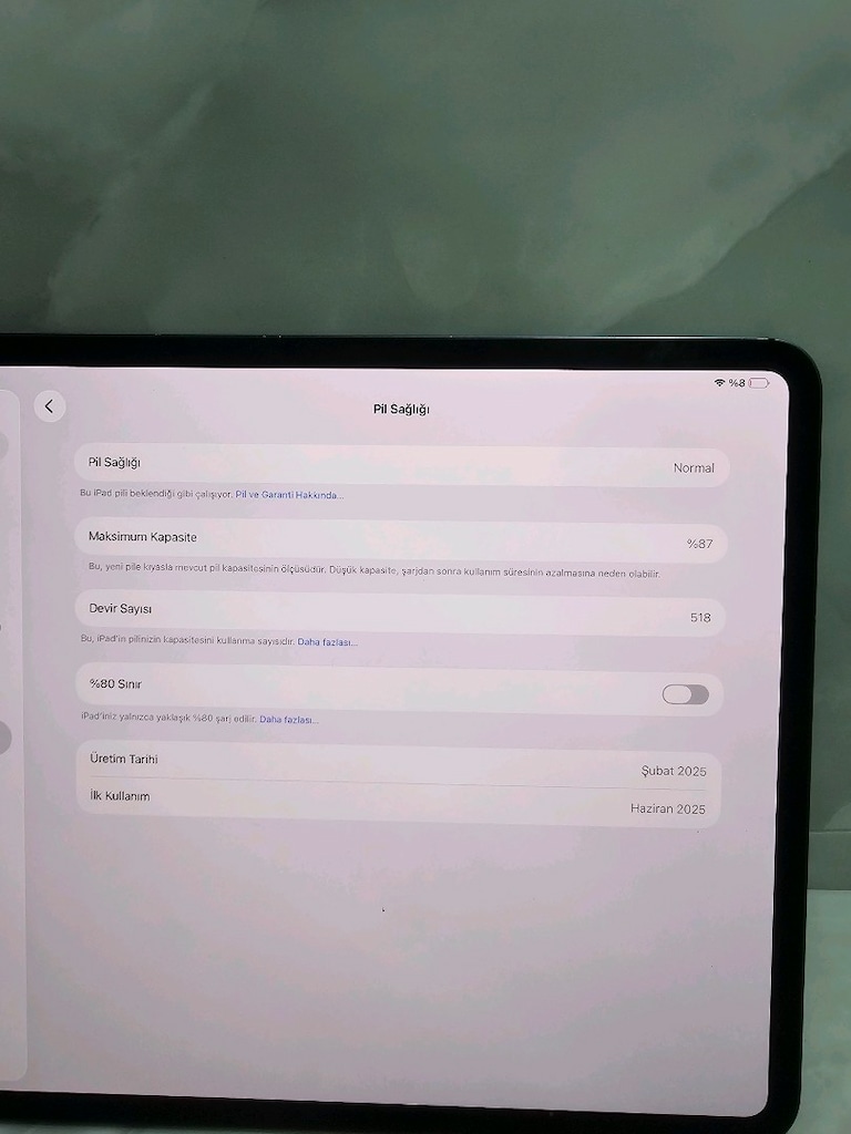 Apple İPad Pro M4 256GB 13 inç - 3