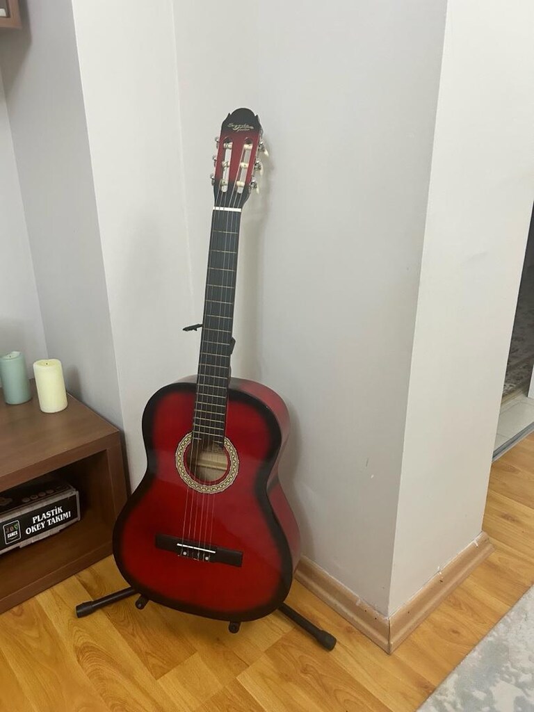 tertemiz klasik gitar - 3