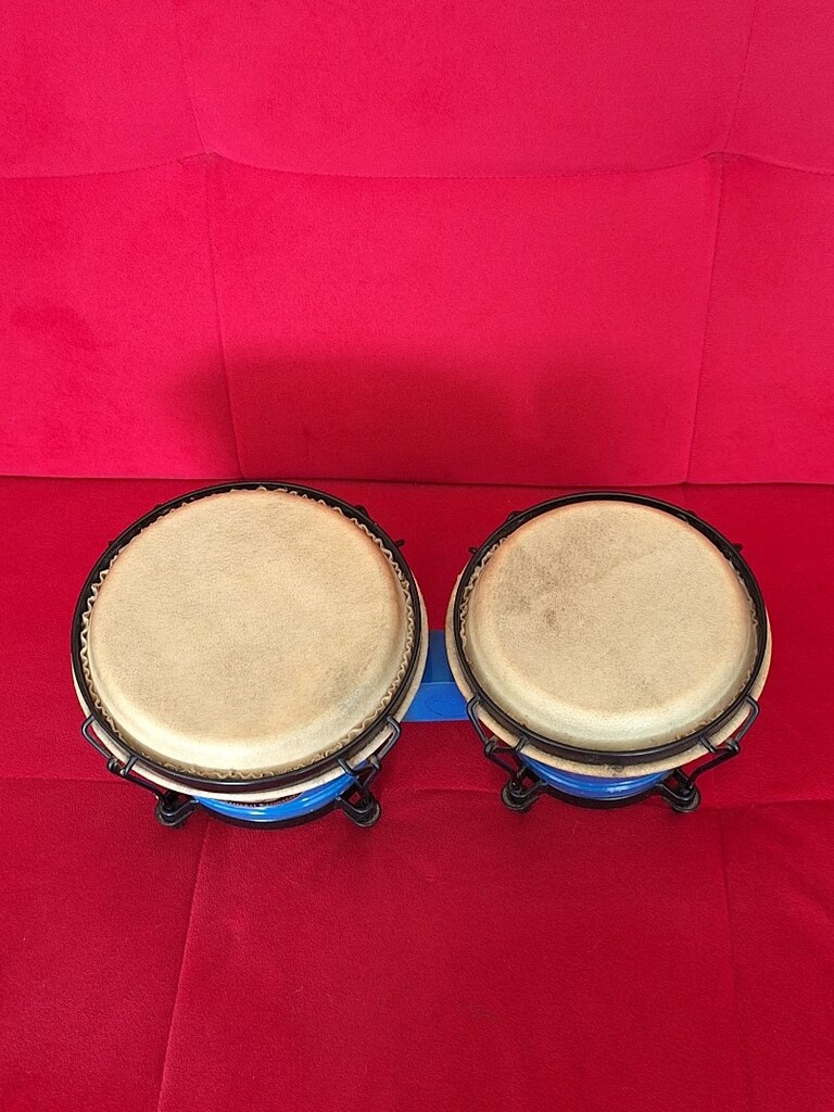 Bongo - 3