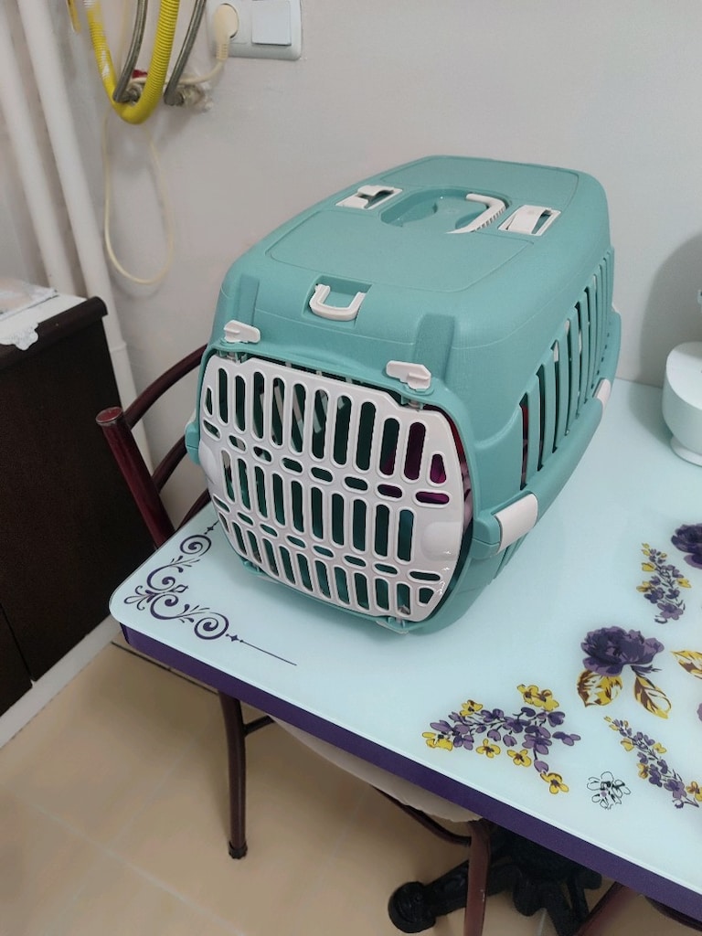 kedi taşıma çantası - 2