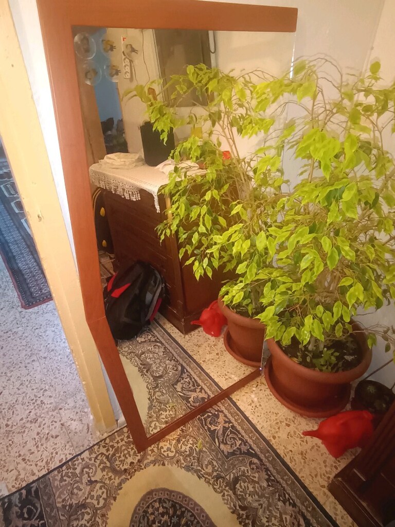 büyük boy ayna temiz sağlamdır - 3