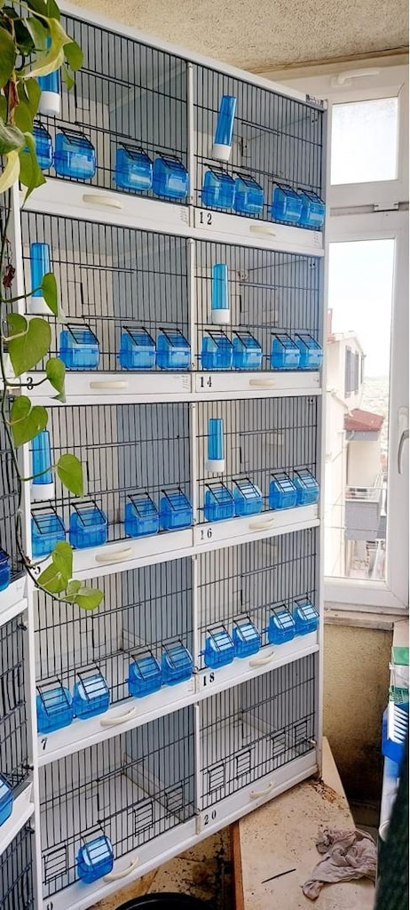 10 bölmeli kuş kafesi - 2