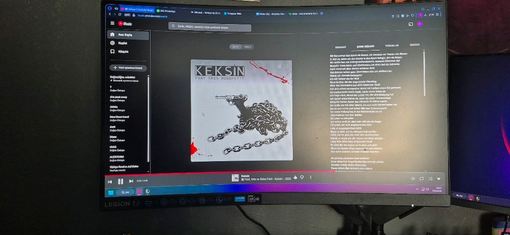 Akvaryum kasa 280hz monitör ve 165hz monitör - 3