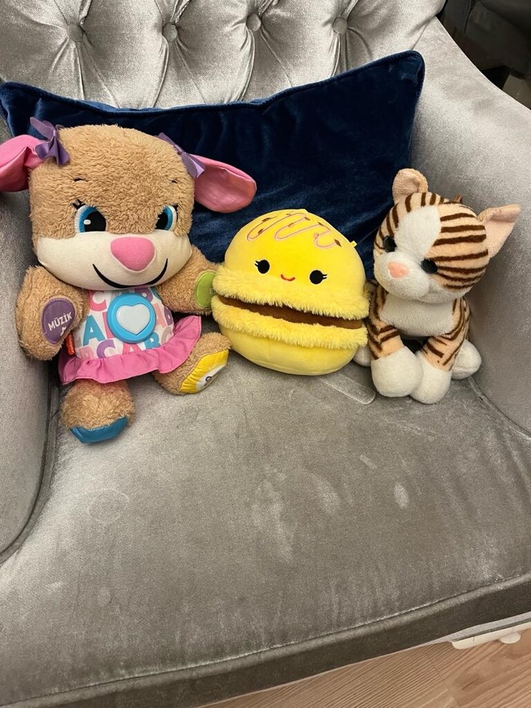 Fischer Price Eğitici köpekçik, Stitch, kedi, köpek,micky, maymun, ayı - 2