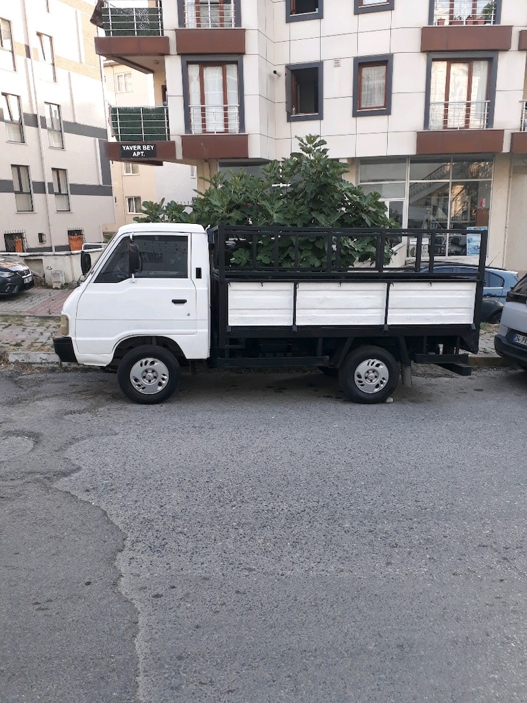 kia - 13