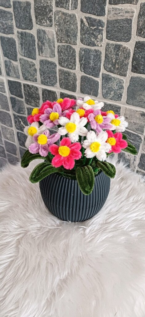 Saksılı Solmayan çiçek - 2