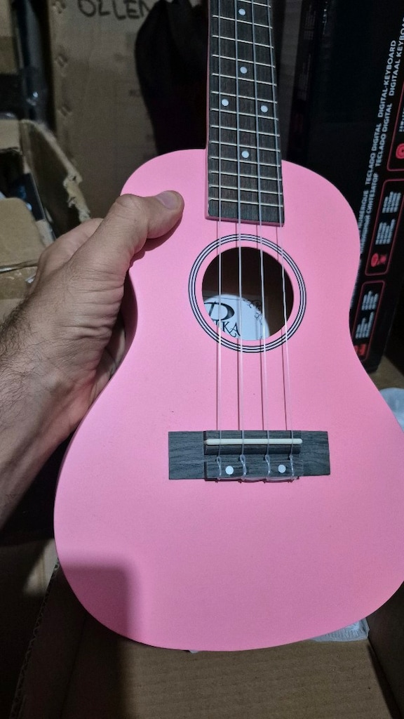concert boy pembe ukulele kılıflı - 4