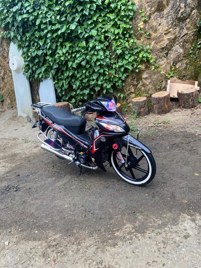 Ege 110ss motor - 4