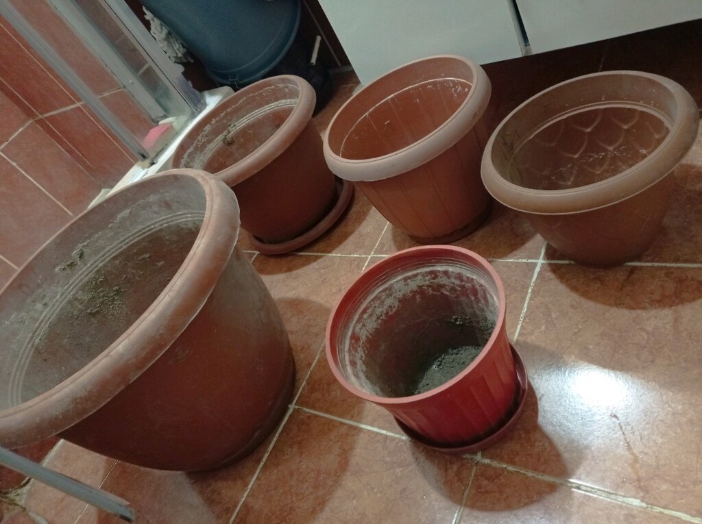 5-adet saksi toplu son fiyat - 3