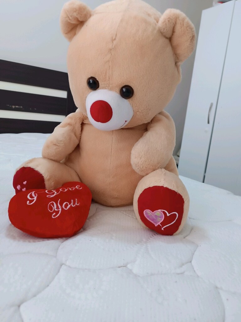 Sevimli renkli peluş ayıcıklar - 5