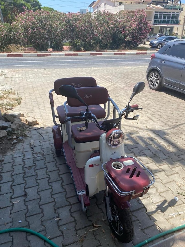 2026 Model Elektrikli Üç tekerlekli Motosiklet - 2