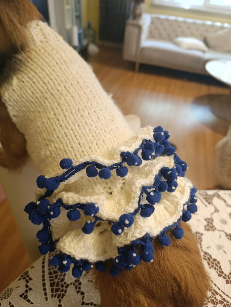 kedi köpek giyim kazak - 5
