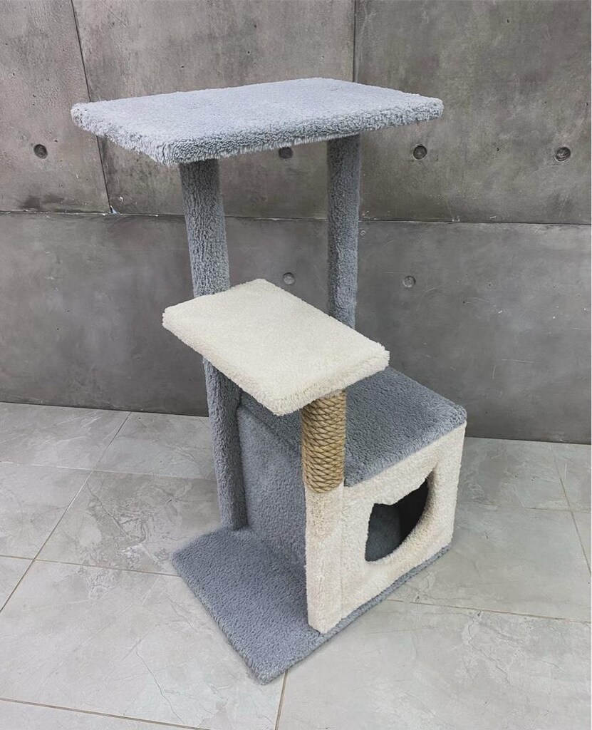 kedi evi - 4