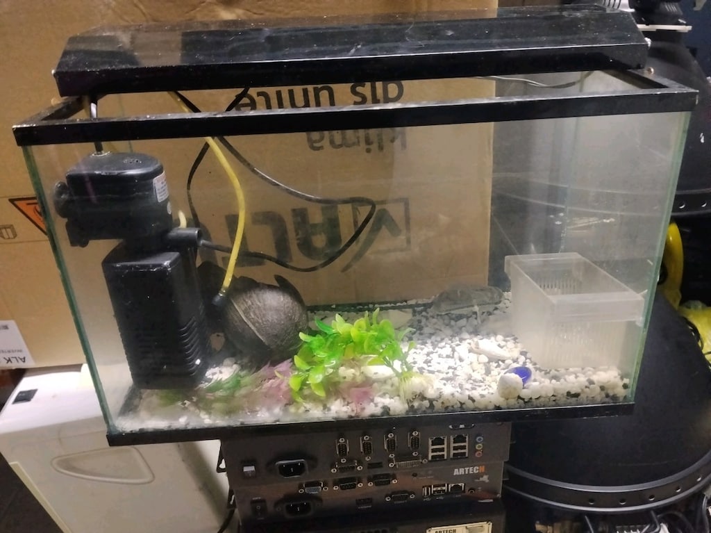Akvaryum 50 cm - 2