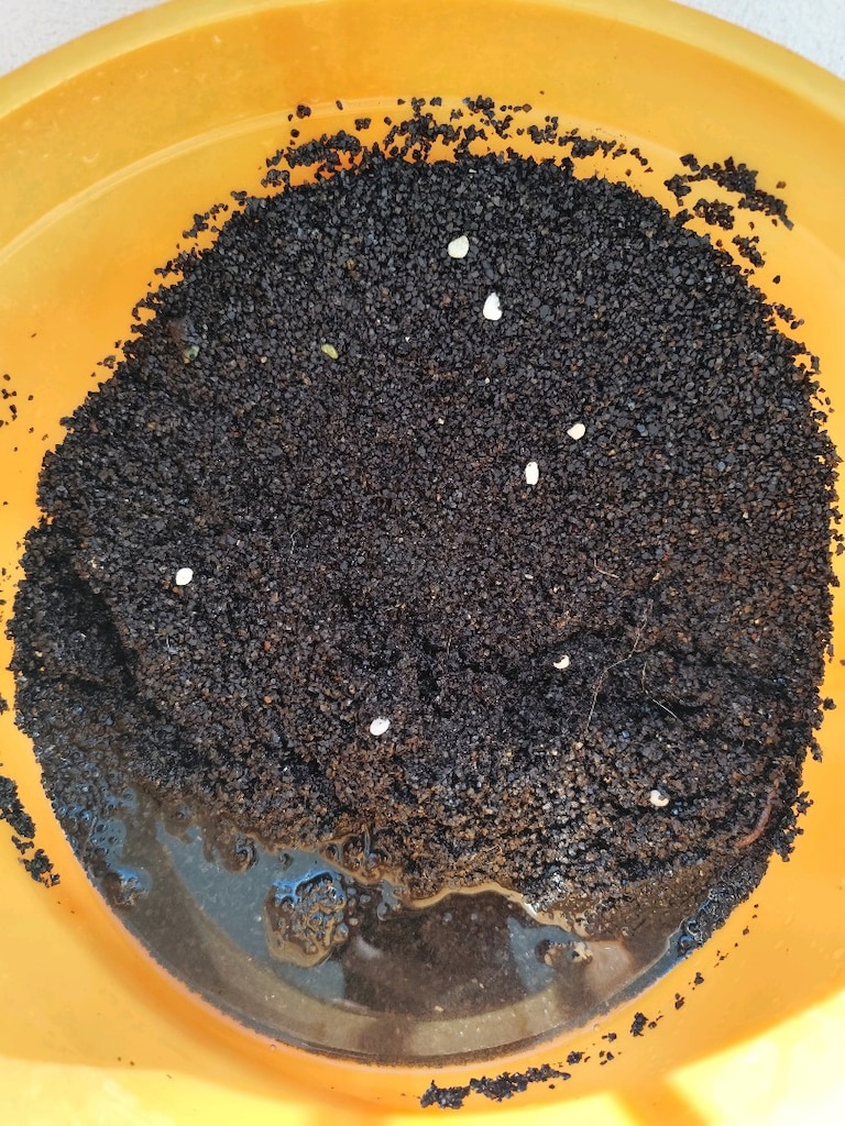 uygun fiyata bitkili akvaryum seti(120litre) - 6