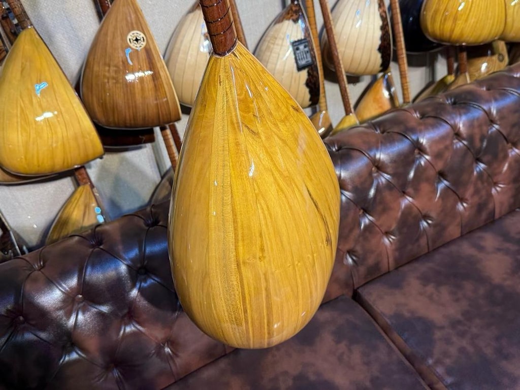 TAM PROFESYONEL 41 TEKNE YAPRAK DUT AĞACI UZUN SIFIR SAZ - 5