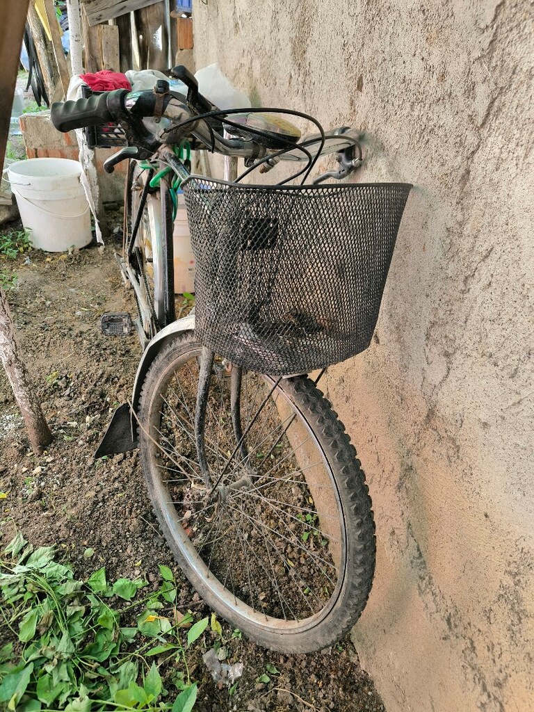 Bisan bisiklet - 2