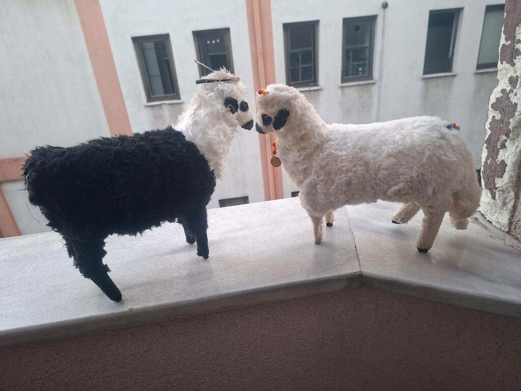 keci büyük boy - 3