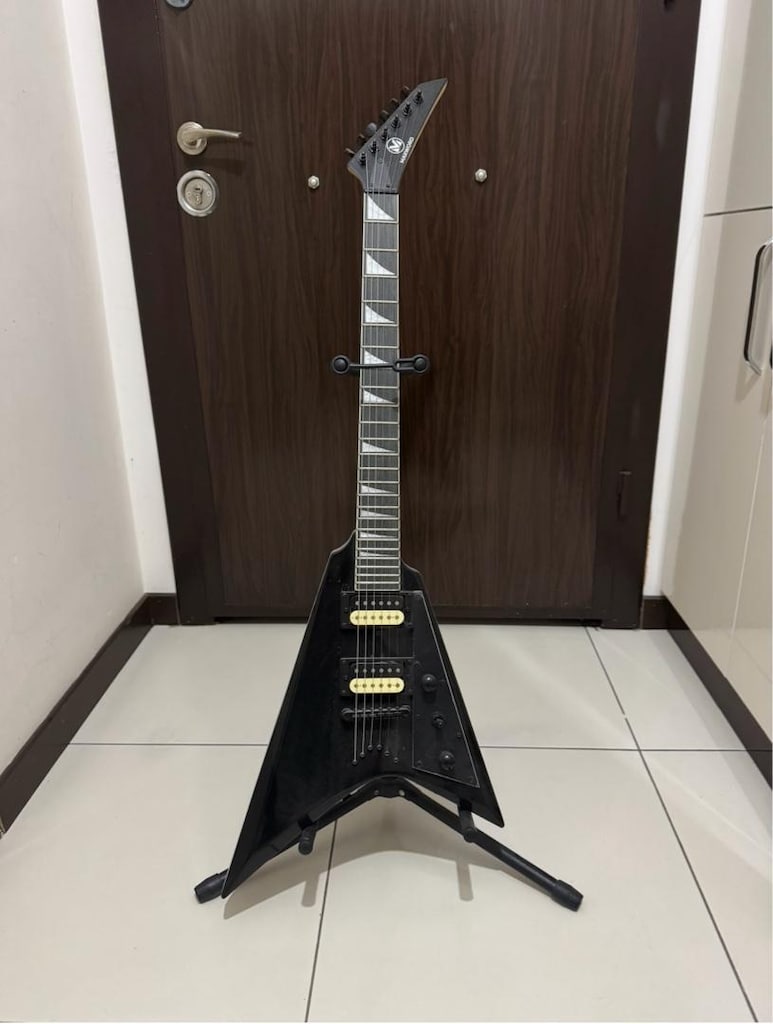 elektro gitar