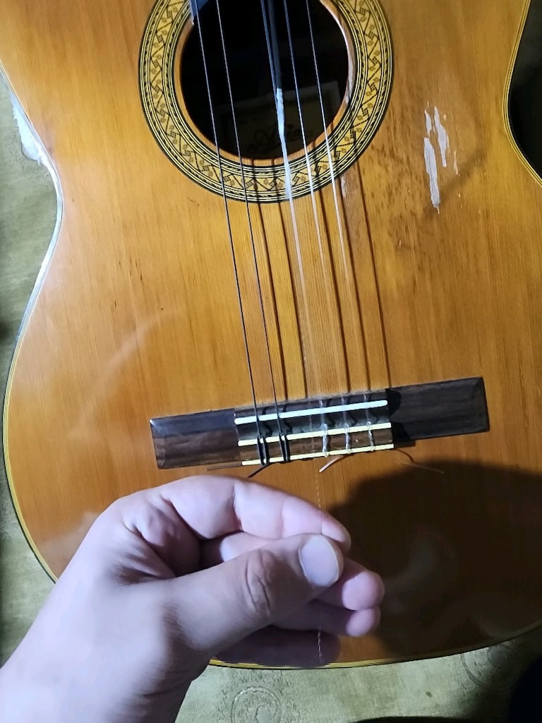Aria AC-8 Concert Series Classic Guitar - 3
