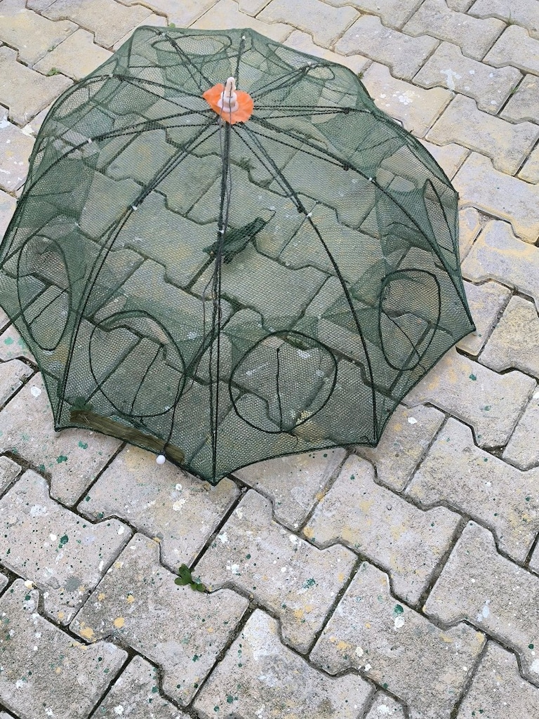 balık ağı - 2