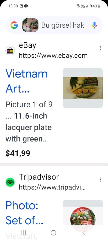 Vietnam ahşap koleksiyonluk duvar tabağı - 4