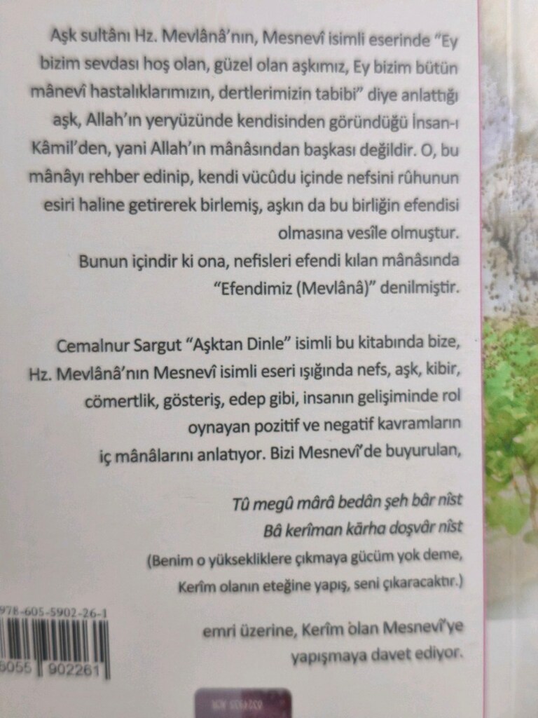 cemalnur sargut - 2